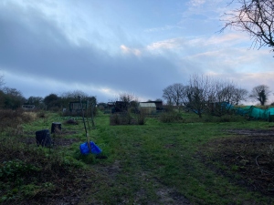 Bodham Allotments, Bodham, North Norfolk, UK