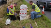 Bodham Milestone found and reinstated, Bodham, North Norfolk, UK