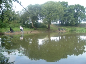 Fishing Lakes in Bodham, North Norfolk, UK.