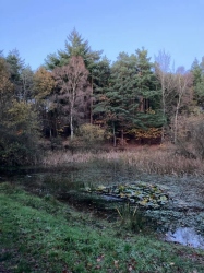 Natural World in and around Bodham, North Norfolk, UK