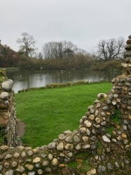 Natural World in and around Bodham, North Norfolk, UK