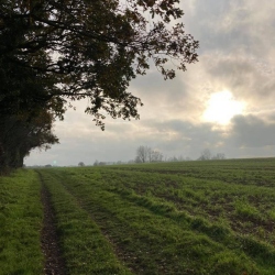 Natural World in and around Bodham, North Norfolk, UK