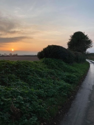 Natural World in and around Bodham, North Norfolk, UK