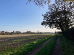 Natural World in and around Bodham, North Norfolk, UK