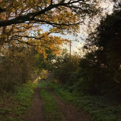 Natural World in and around Bodham, North Norfolk, UK