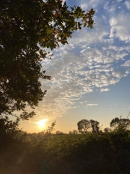 Natural World in and around Bodham, North Norfolk, UK