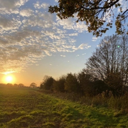 Natural World in and around Bodham, North Norfolk, UK