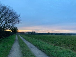 Natural World in and around Bodham, North Norfolk, UK