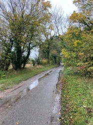 Natural World in and around Bodham, North Norfolk, UK