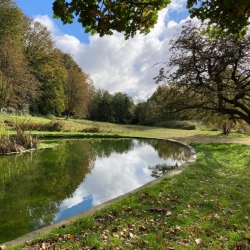 Natural World in and around Bodham, North Norfolk, UK