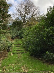 Natural World in and around Bodham, North Norfolk, UK