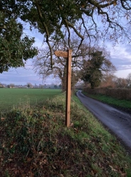 Natural World in and around Bodham, North Norfolk, UK