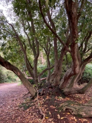 Natural World in and around Bodham, North Norfolk, UK