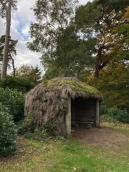 Natural World in and around Bodham, North Norfolk, UK