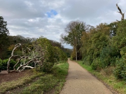 Natural World in and around Bodham, North Norfolk, UK