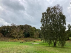 Natural World in and around Bodham, North Norfolk, UK