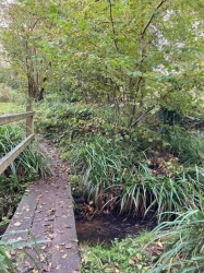 Natural World in and around Bodham, North Norfolk, UK