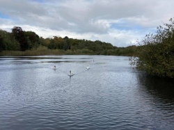 Natural World in and around Bodham, North Norfolk, UK