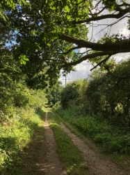 Natural World in and around Bodham, North Norfolk, UK