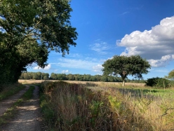 Natural World in and around Bodham, North Norfolk, UK