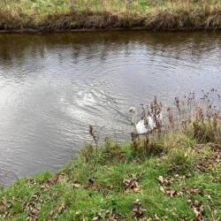 Natural World in and around Bodham, North Norfolk, UK