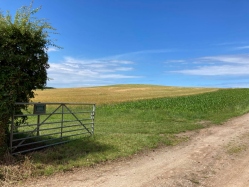 Natural World in and around Bodham, North Norfolk, UK