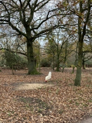 Natural World in and around Bodham, North Norfolk, UK