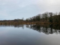 Natural World in and around Bodham, North Norfolk, UK